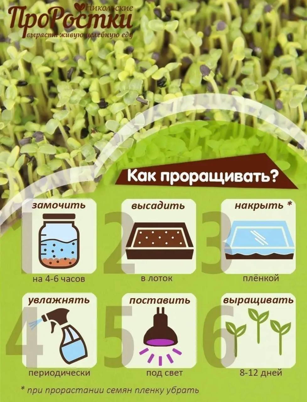 Семена для микрозелени MegaMedia кунжут черный - фото 9