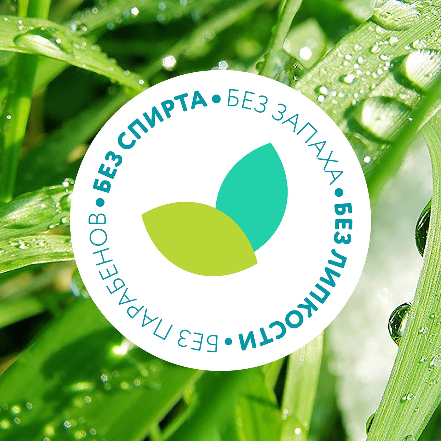 Влажные салфетки LOVULAR 3 упак. 288 шт. - фото 10