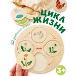 Настольная игра Ulanik для детей