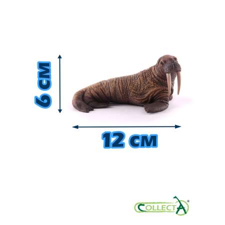 Фигурка Collecta Морж