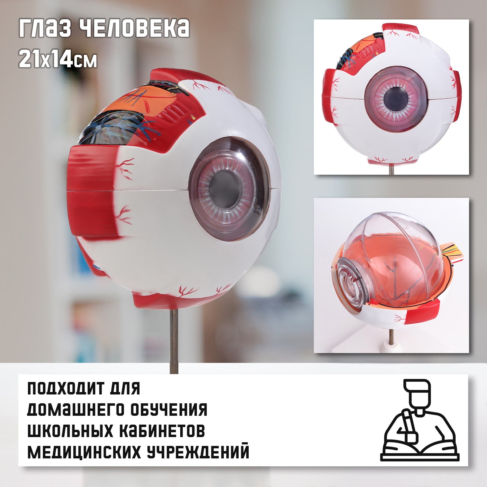 Наглядное пособие Sima-Land - фото 1