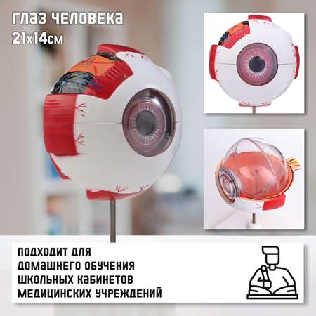 Наглядное пособие Sima-Land
