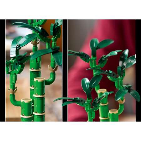Конструктор LEGO Botanicals Бамбук Символ удачи блочный