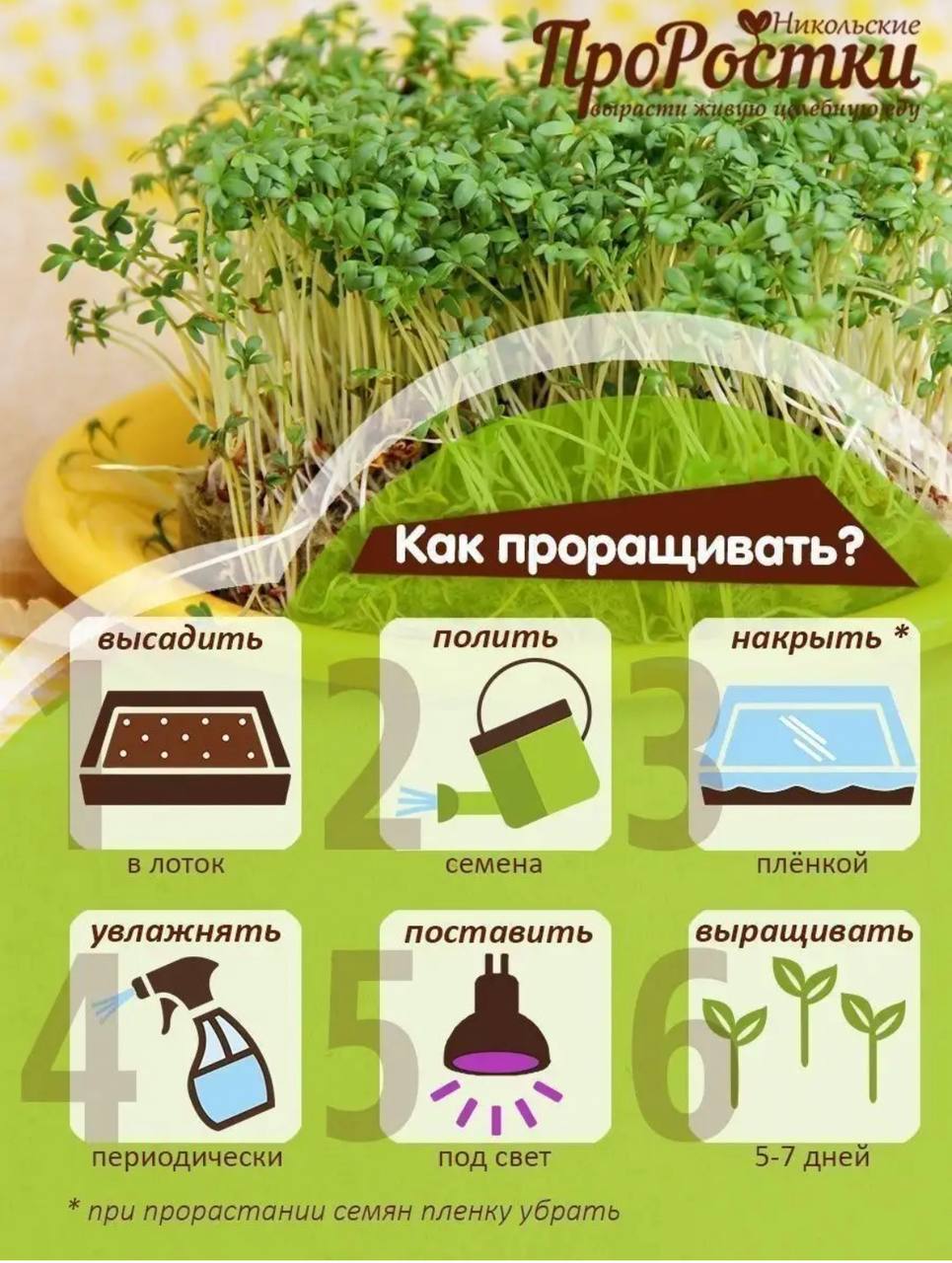 Семена для микрозелени MegaMedia кресс-салат - фото 7