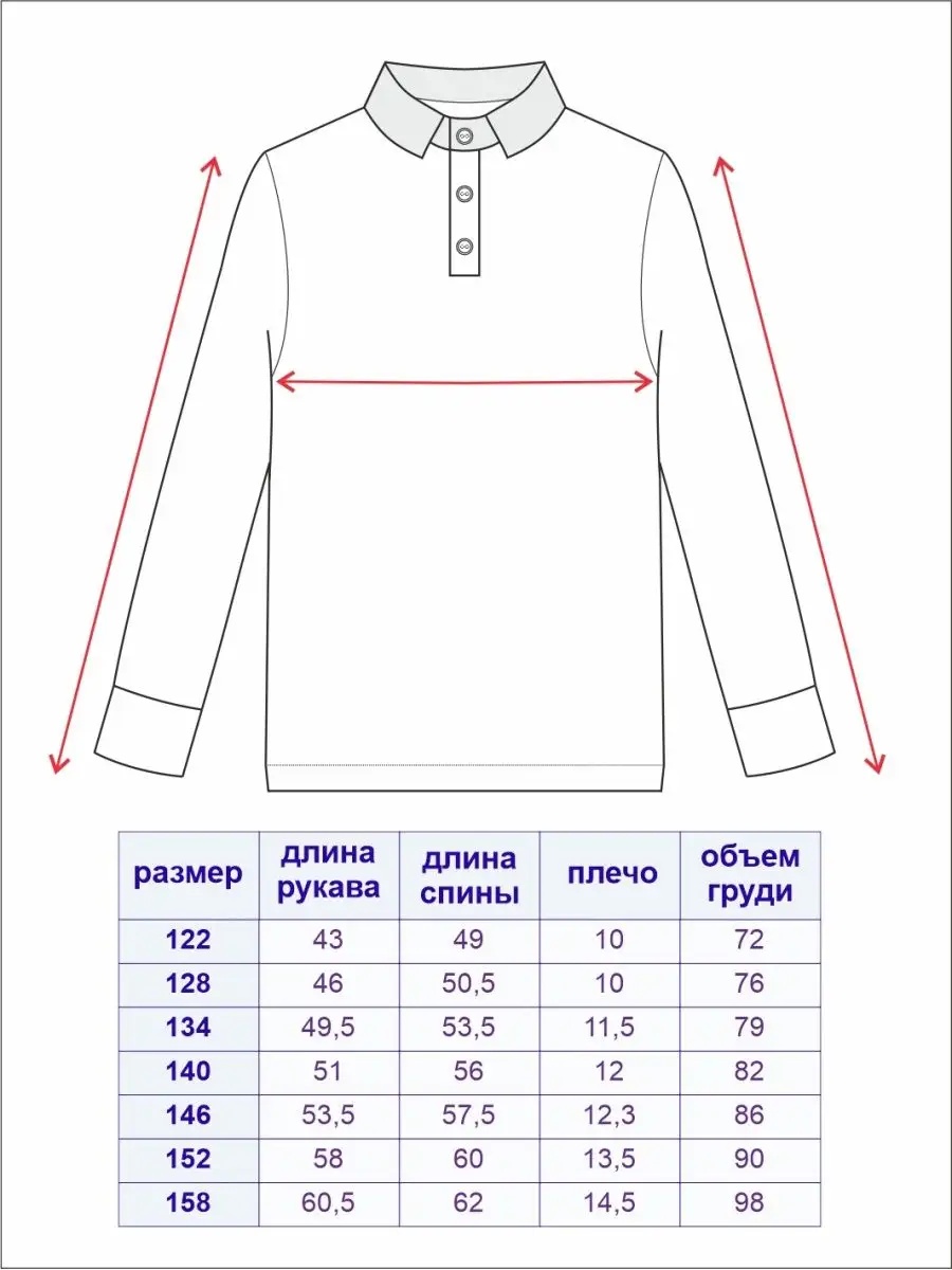 Поло TForma TMG100серый _стойкасиняя_кант белый - фото 4