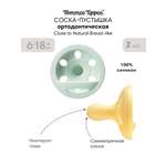 Пустышка Tommee tippee силикон ортодонтическая от 0 мес. 2 шт.