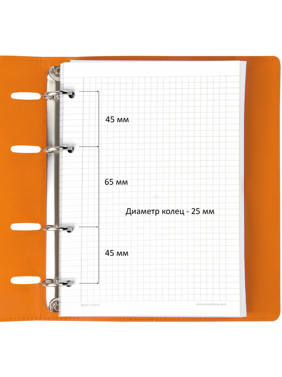 Тетрадь со сменным блоком Brauberg клетка 120 лист. - фото 5