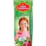 Сок Сады Придонья Яблоко-вишня с 5 мес 0.2 л