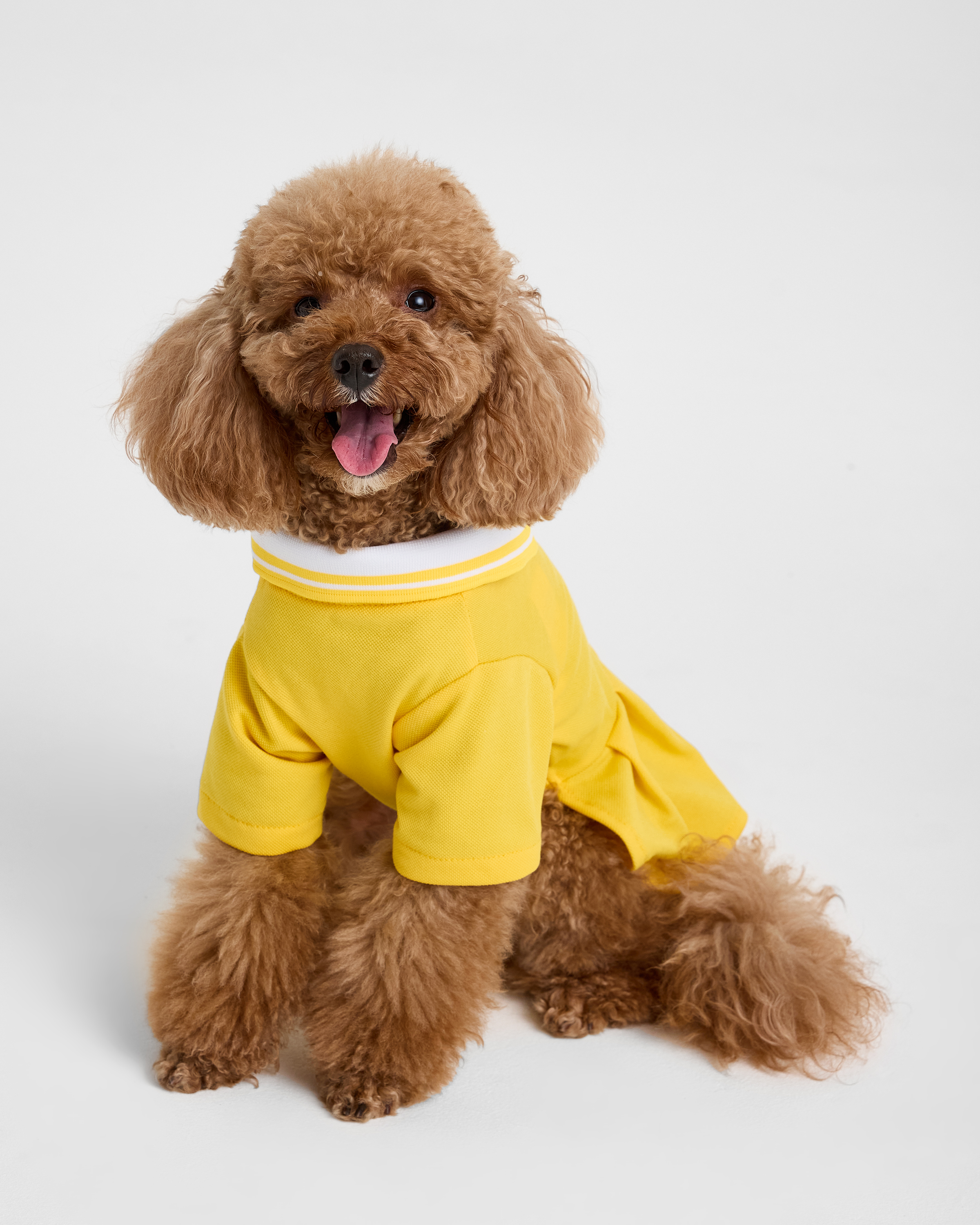 Изображение товара Платье-поло Зоозавр М для собак и кошек