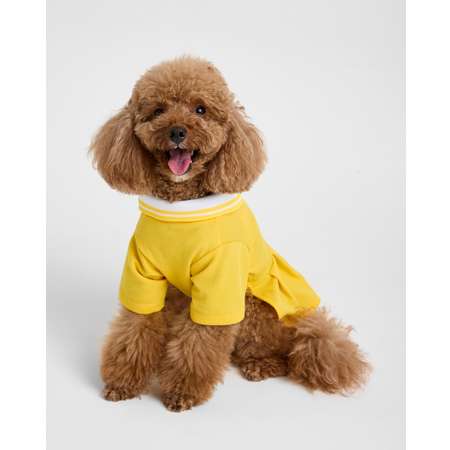 Платье-поло для собак и кошек Зоозавр