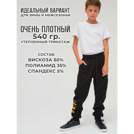 Брюки WBR