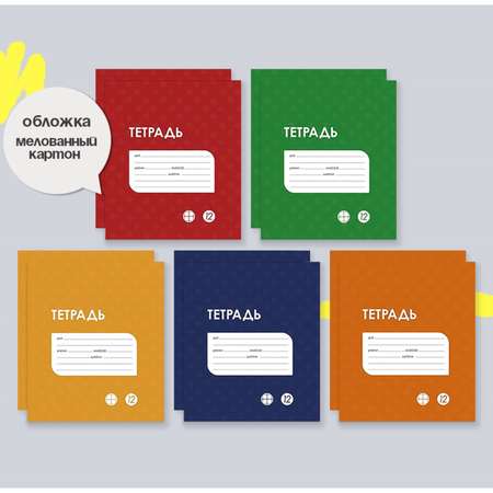 Тетрадь Calligrata клетка