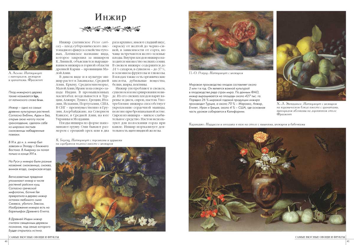 Книга Белый город 50. Самые вкусные овощи и фрукты - фото 6