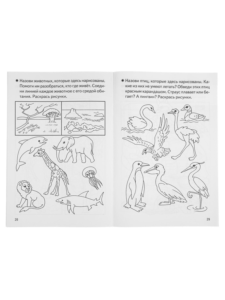 Рабочая тетрадь Литур Знакомимся с окружающим миром 4-5 лет - фото 18