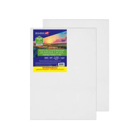 Холст для рисования Brauberg на картоне большой 40x60 см набор 2 штуки