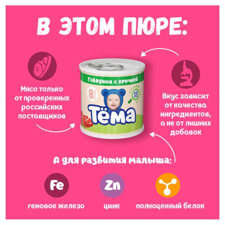Пюре Тёма Говядина-гречка 90г с 8месяцев