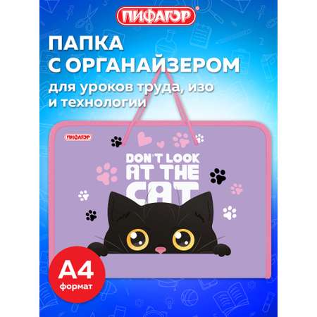 Папка для тетрадей Пифагор А4