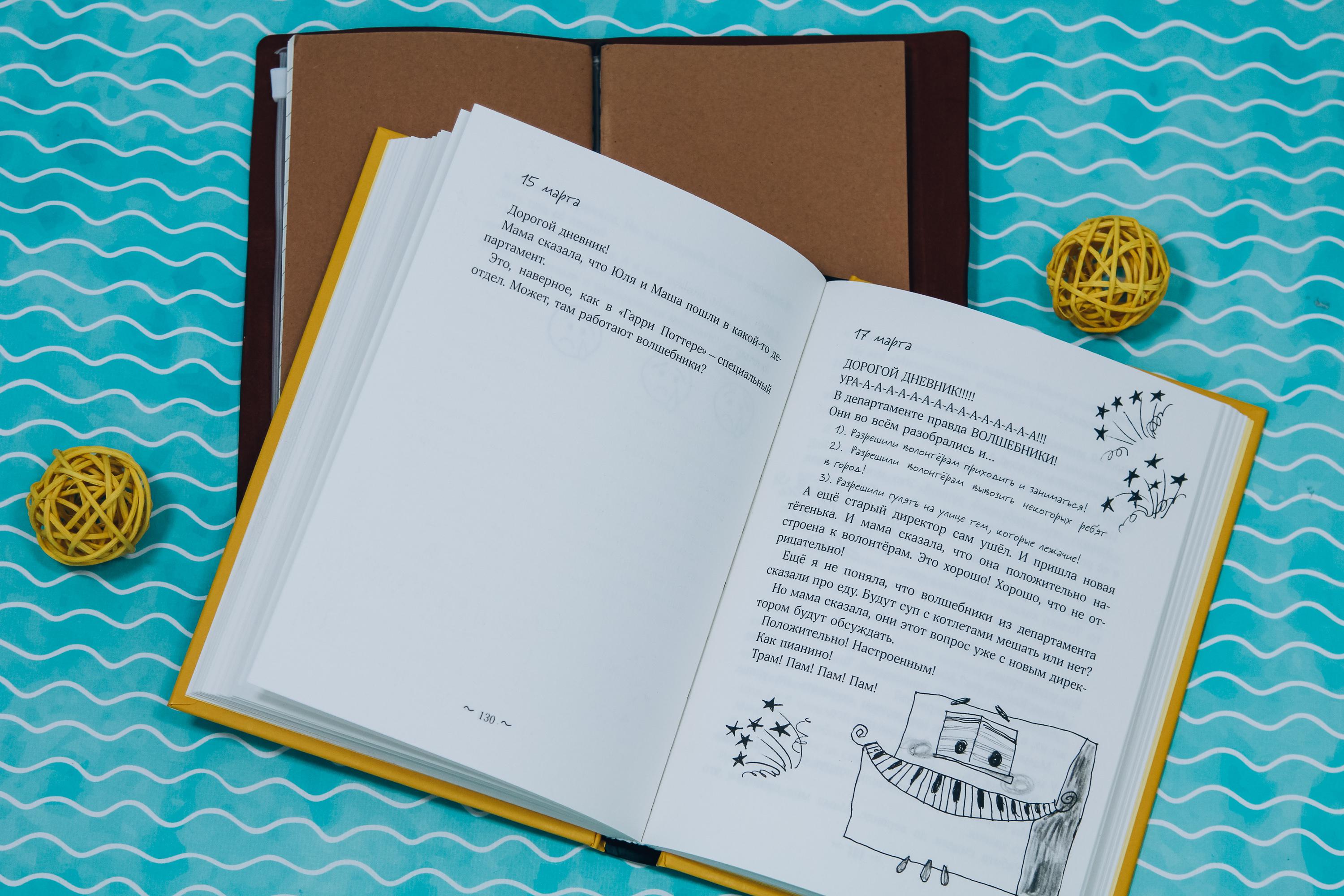 Книга Стрекозa Дневник волонтера - фото 14