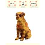 Игровой набор Masai Mara Шарпей