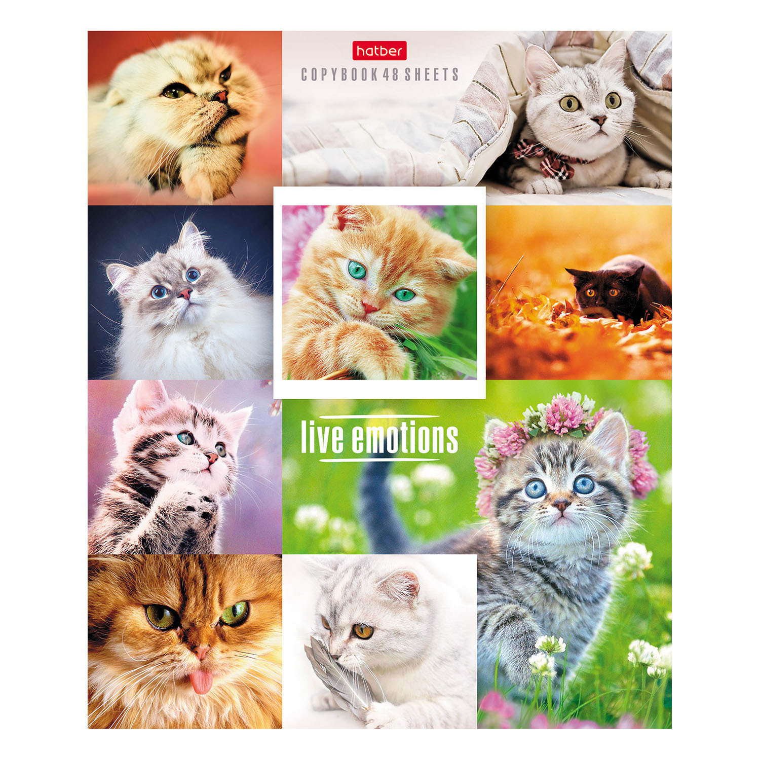 Общая тетрадь Hatber клетка 48 лист. в ассортименте - фото 5