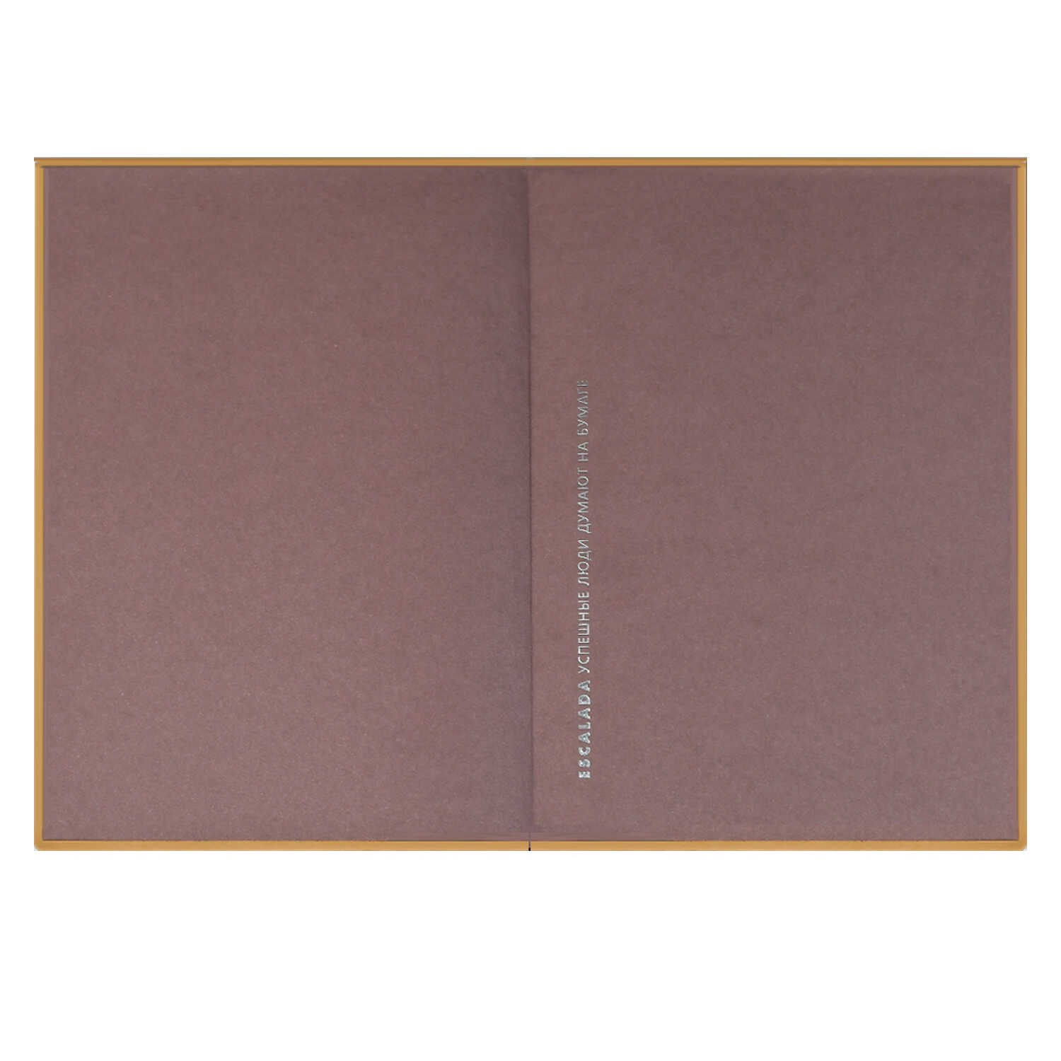 Ежедневник Феникс + ESCALADA 160 лист. - фото 9