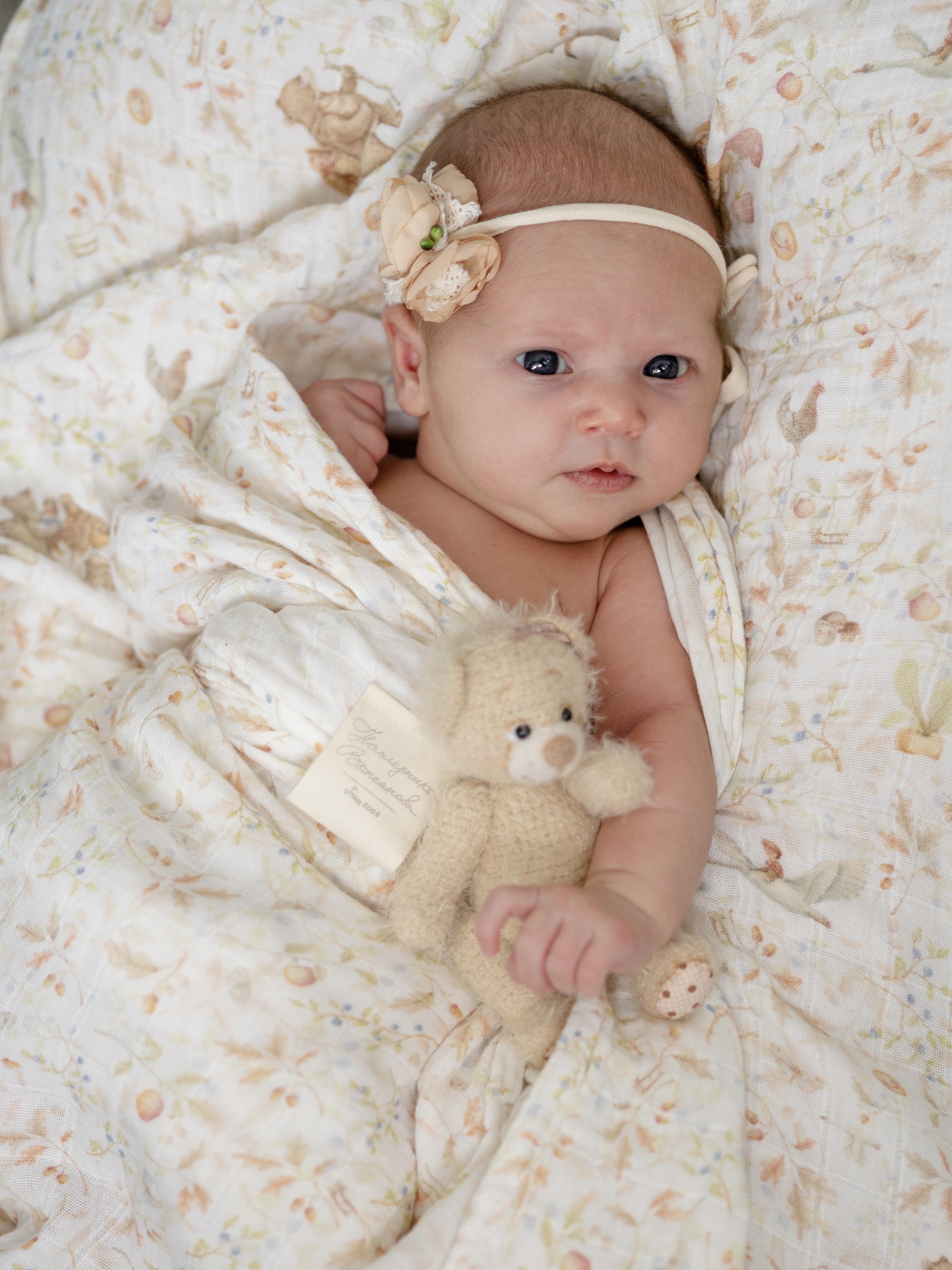 Пелёнка НаследникЪ Выжанова Набор муслиновых пеленок муслин 120х120 см 2 шт. - фото 2