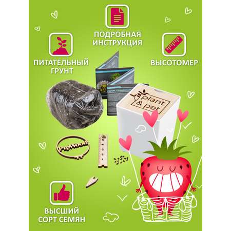 Набор для выращивания Blabar