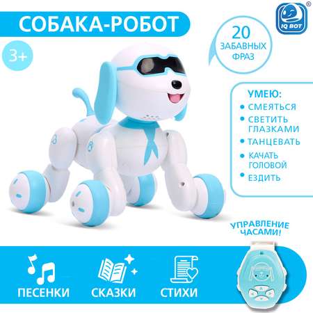 Собака РУ Автоград Charlie