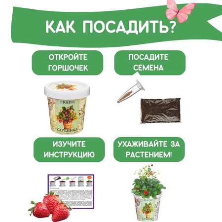 Набор для выращивания Rostok Visa