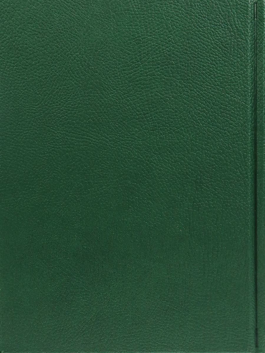 Ежедневник Prof-Press 128 лист. - фото 7