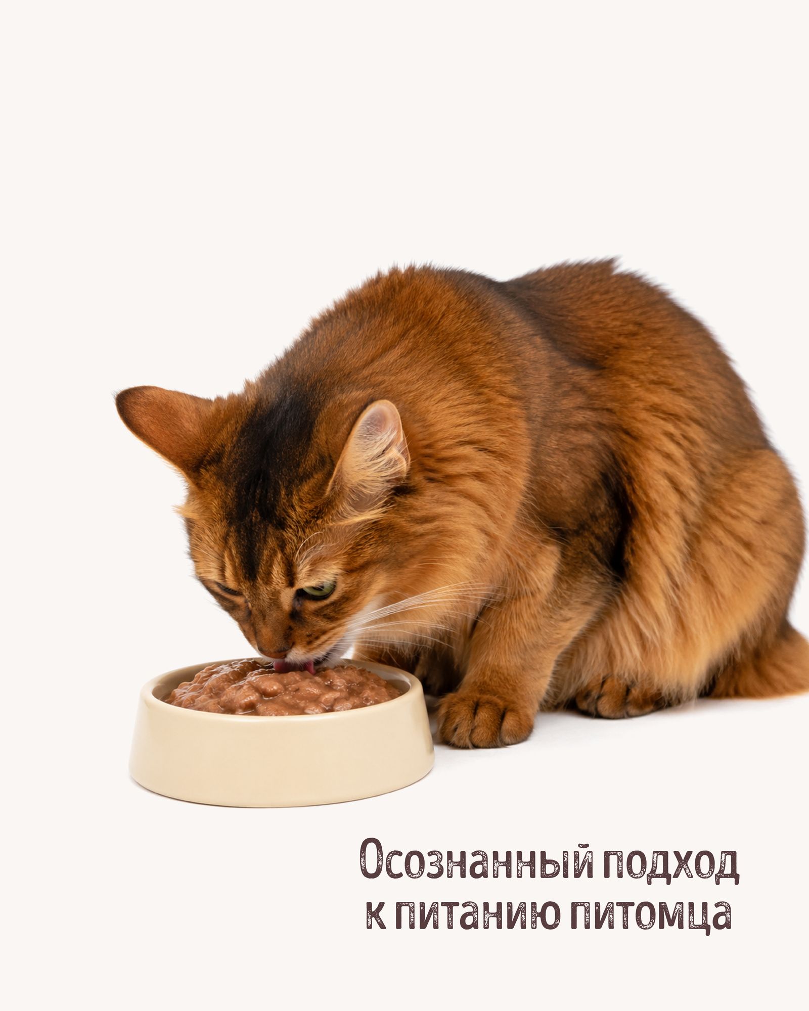 Корм для кошек полнорационный CARNICA для стерилизованных кусочки с мясным ассорти в соусе консервированный 85г - фото 9