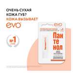 Гигиеническая помада EVO Пантенол