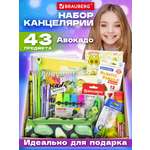Набор канцелярский Brauberg Avocado 43 предм.