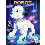 Собака РУ Veld Co