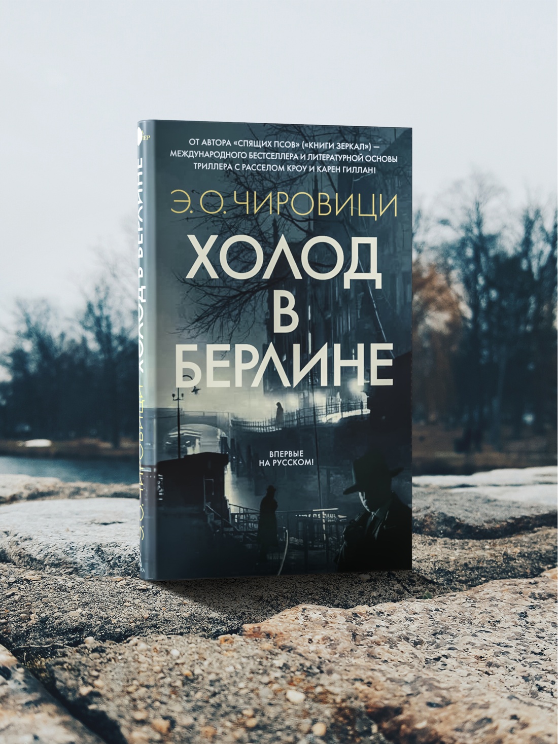 Книга АЗБУКА Азб.- бестселлер. Чировици Э.О. Холод в Берлине - фото 8