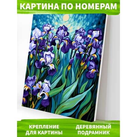 Картина по номерам Art on Canvas Ирисы в ассортименте