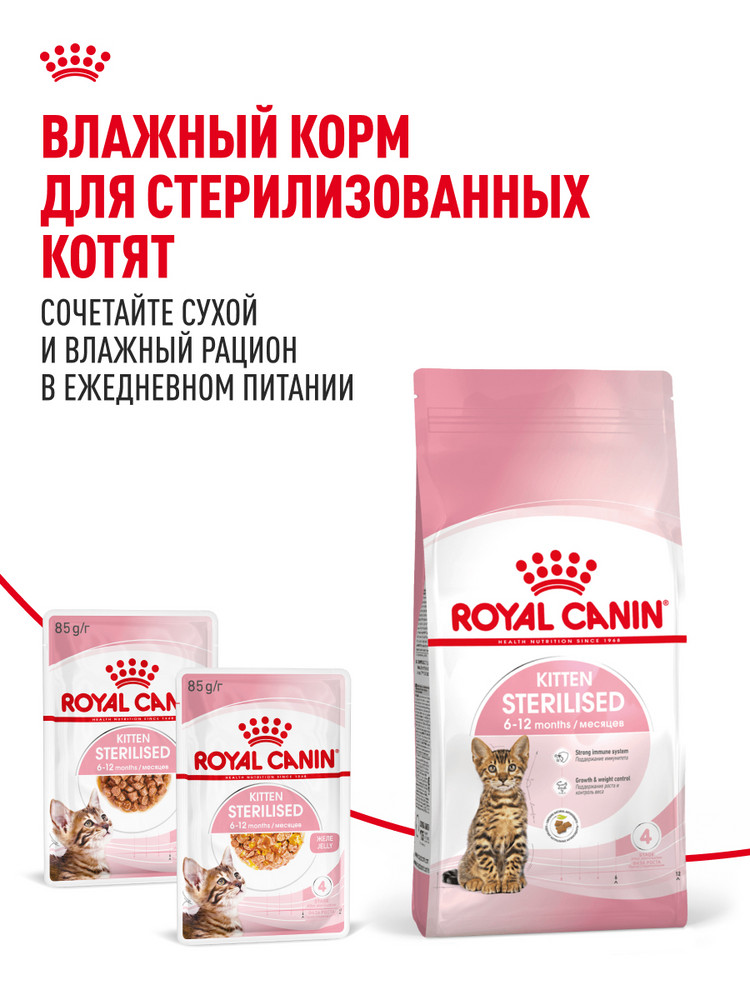 Корм сухой для котят ROYAL CANIN Sterilised 3.5кг стерилизованных - фото 8