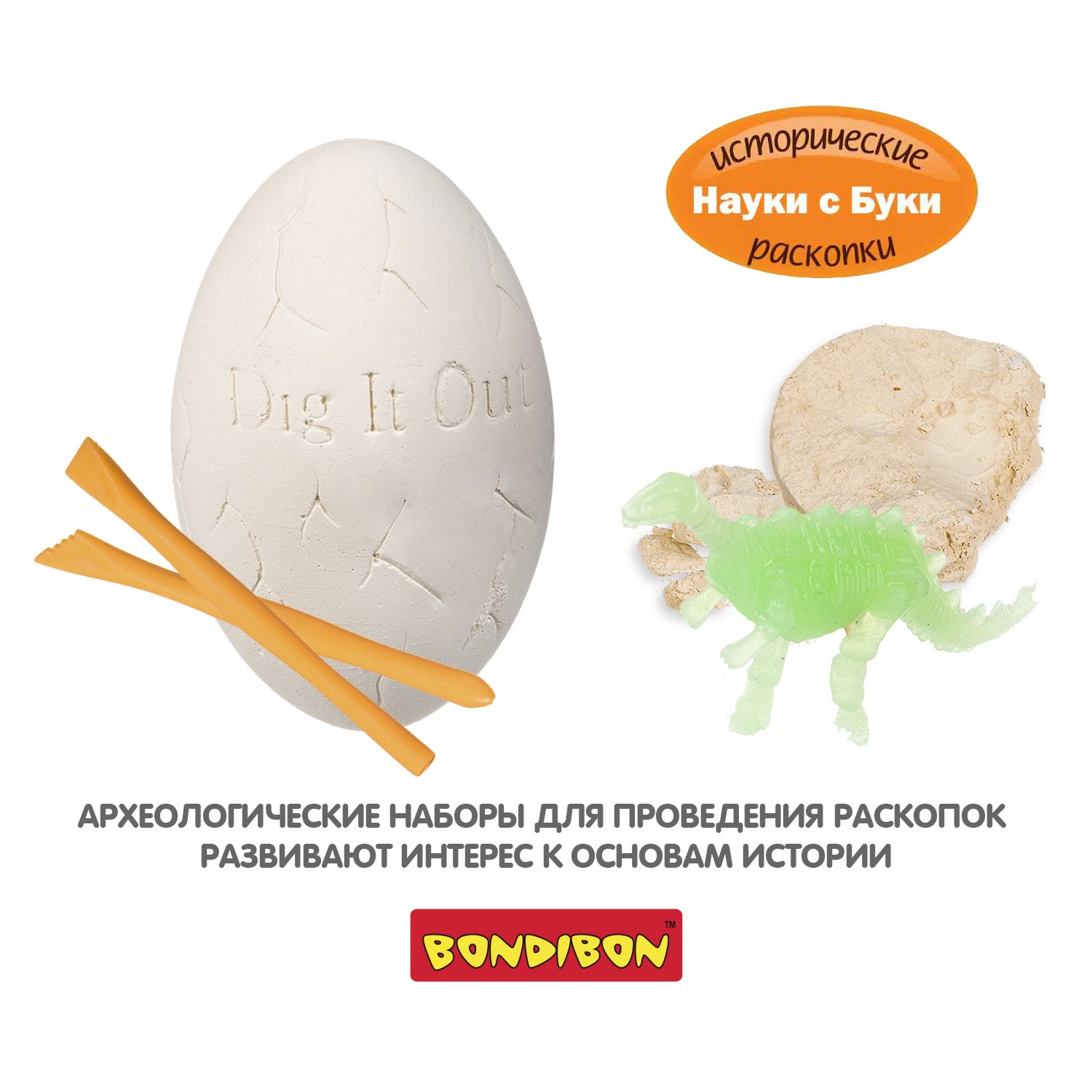 Набор для раскопок Bondibon Юный палеонтолог: Динозавры - фото 8