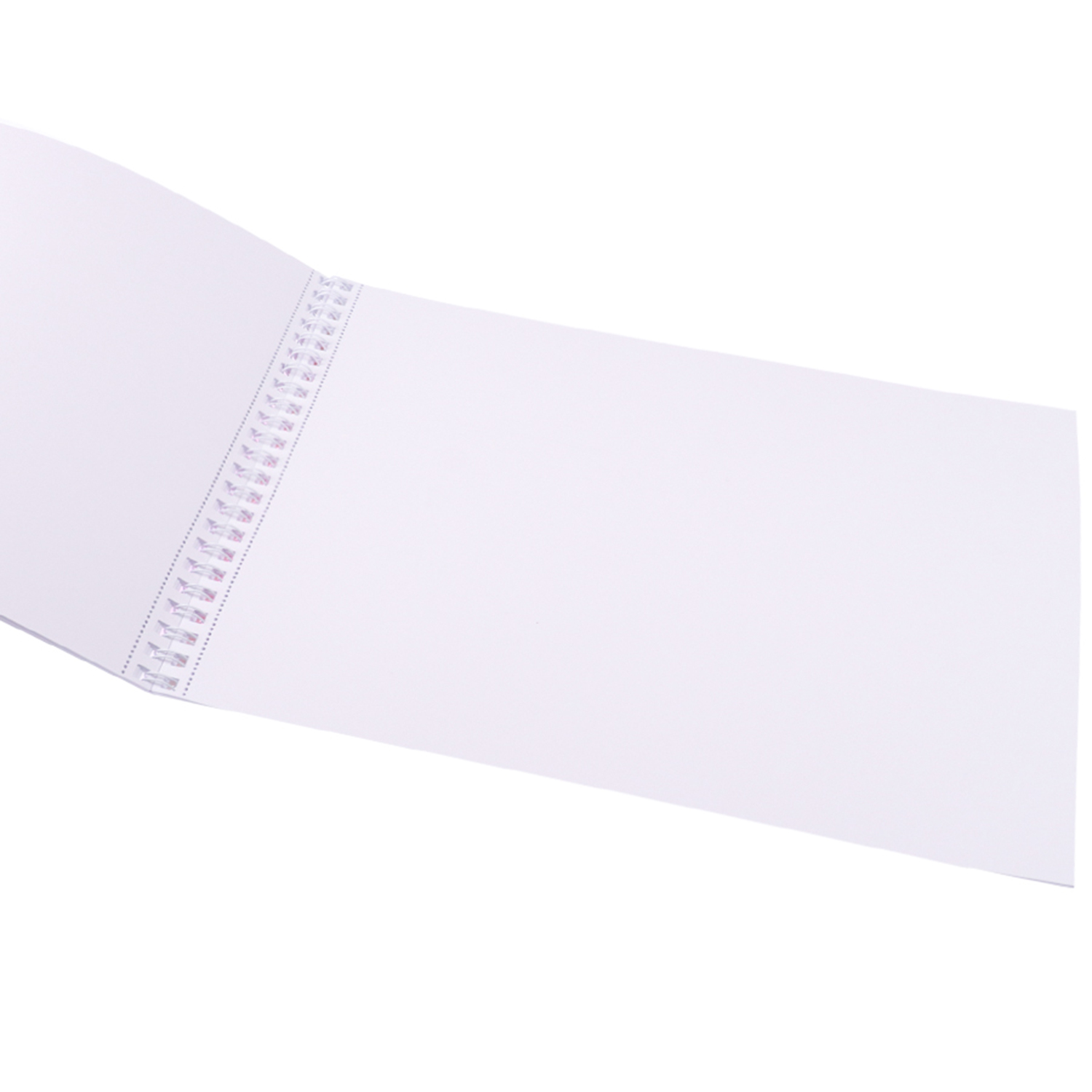 Альбом Prof-Press А4 40 лист. купить по цене 264 ₽ в интернет-магазине ...