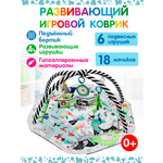 Коврик Рыжий кот трансформер, с дугами