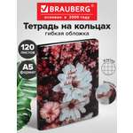 Тетрадь со сменным блоком Brauberg клетка 120 лист.