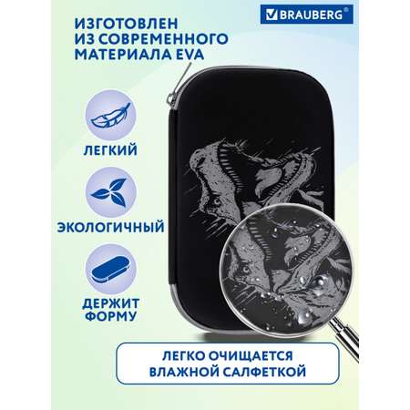 Пенал Brauberg
