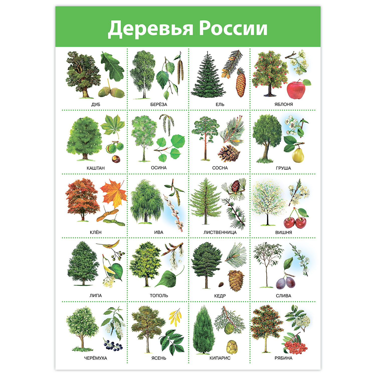 Настольная игра Дрофа-Медиа - фото 5