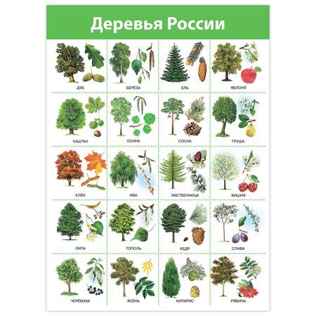 Настольная игра Дрофа-Медиа
