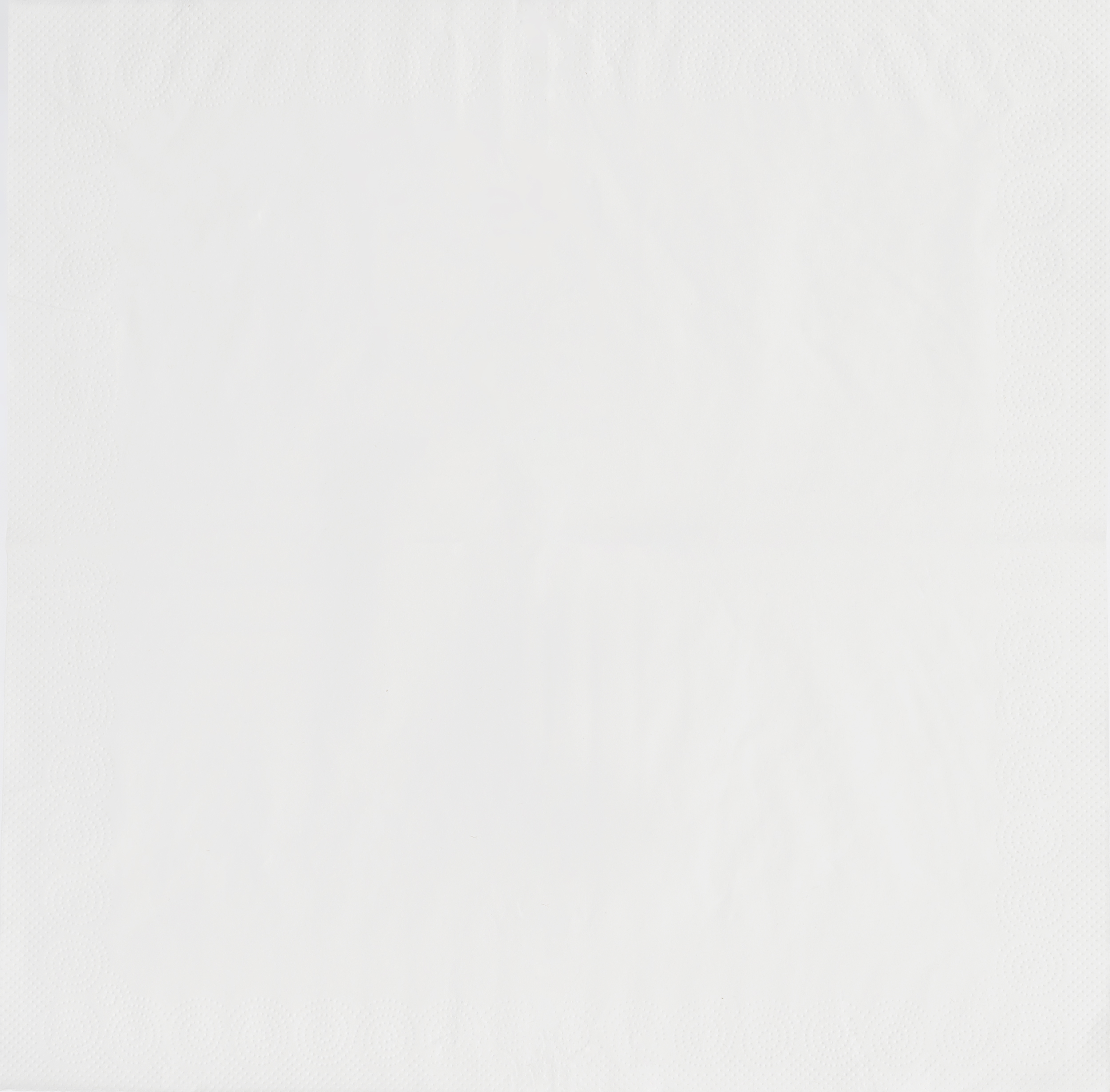 Бумажные салфетки Luscan - фото 4