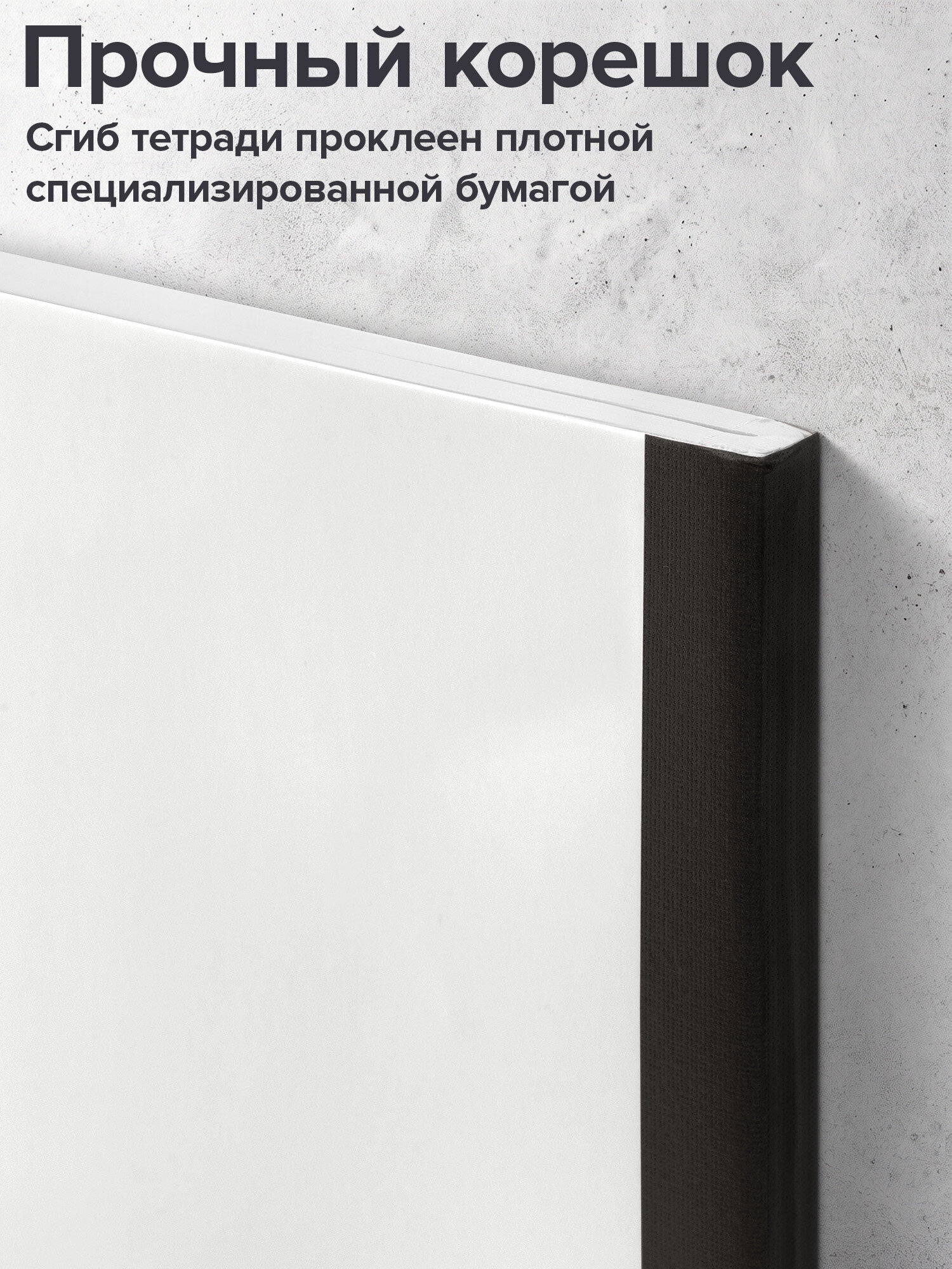 Тетрадь Brauberg клетка 96 лист. 2 шт. - фото 4