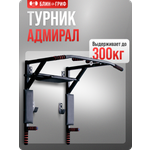 Спортивный турник БлинДаГриф 3в1