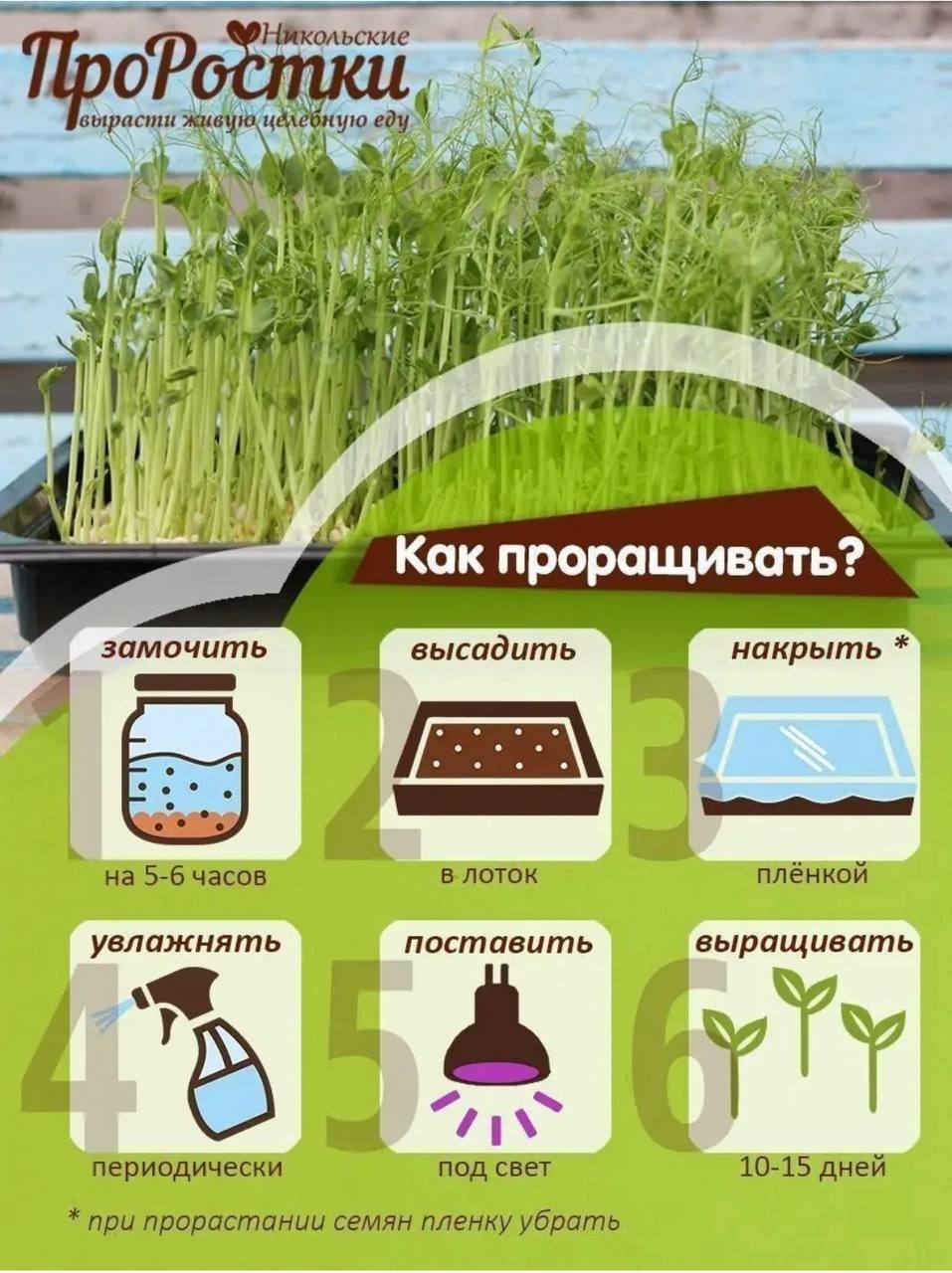 Семена для микрозелени Никольские ПроРостки горох зеленый - фото 9