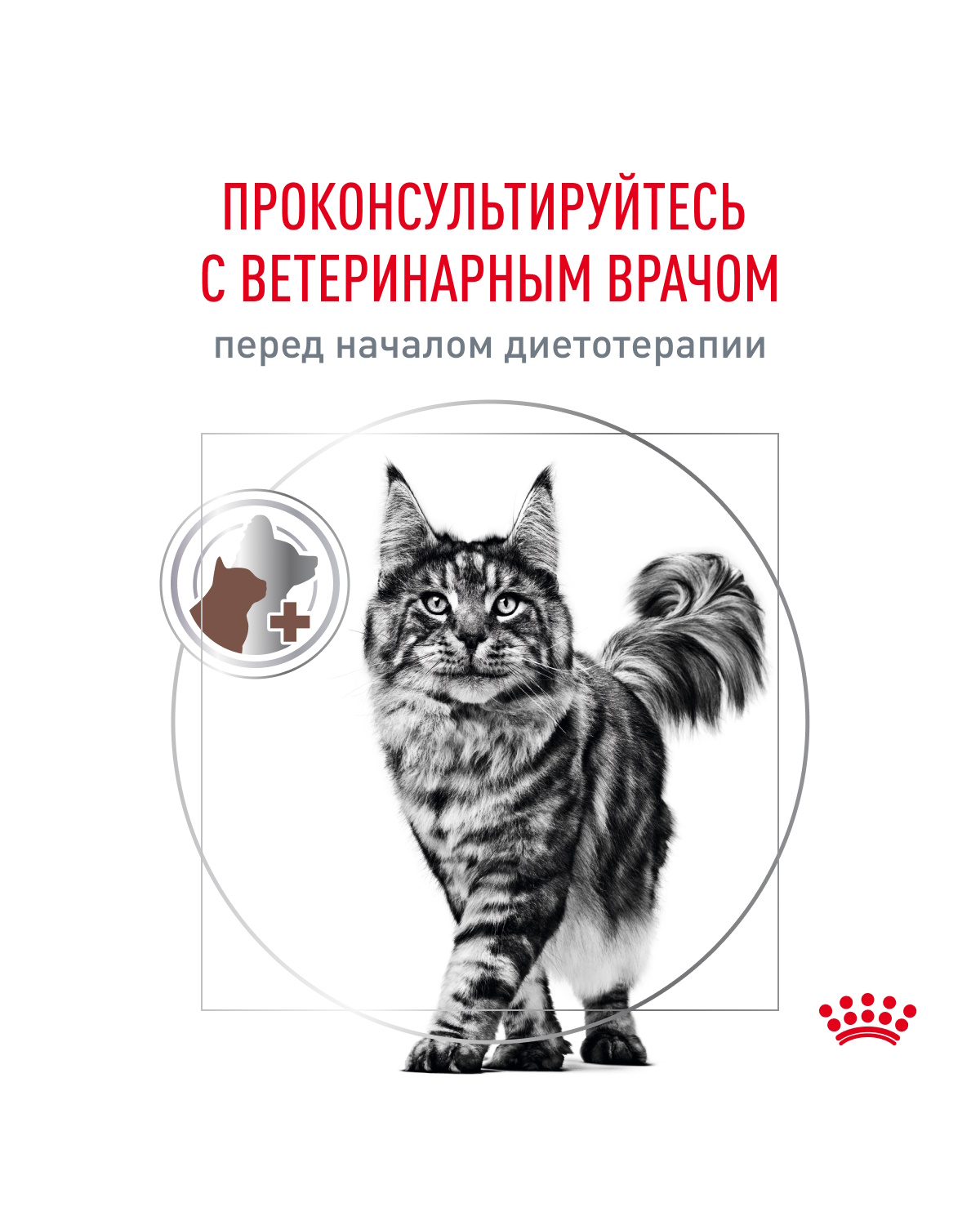Корм для кошек ROYAL CANIN Gastro Intestinal Hairball Control лечение ЖКТ 2кг - фото 9