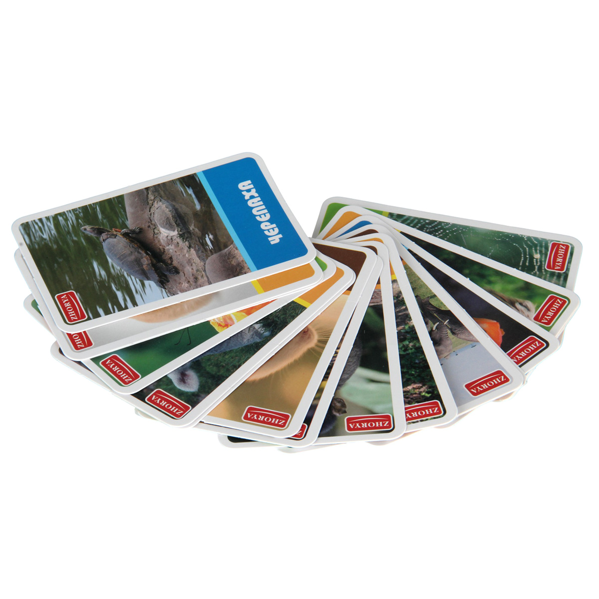 Робот РУ Veld Co - фото 10